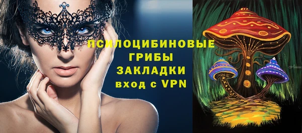 mdpv Костерёво