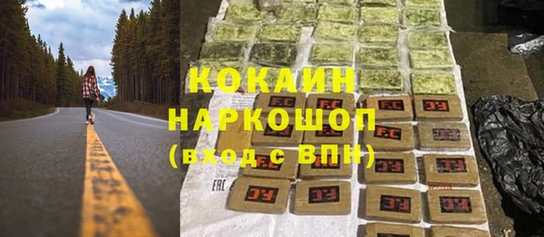 молекула духа Краснослободск