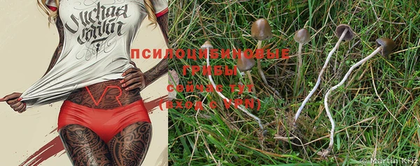 молекула духа Краснослободск