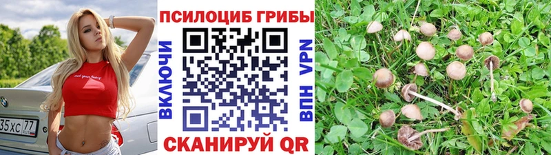 Псилоцибиновые грибы GOLDEN TEACHER  Купить  Егорьевск 